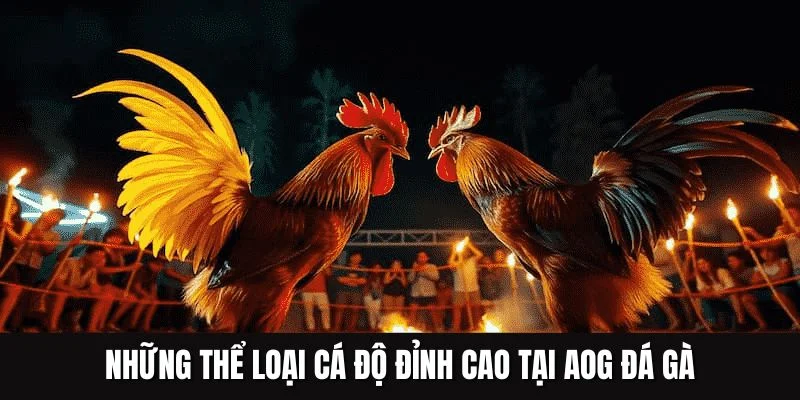 Những thể loại cá độ đỉnh cao tại AOG đá gà