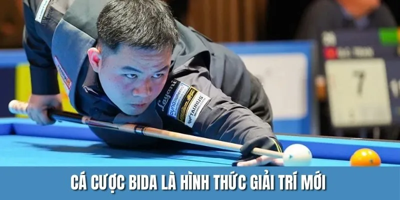 Cá cược bida là hình thức giải trí mới trên hệ thống nhà cái