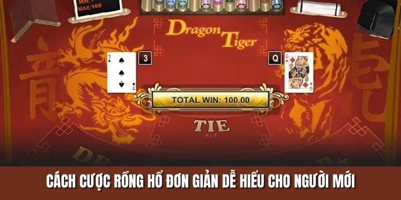 Cách cược Rồng Hổ đơn giản dễ hiểu cho người mới