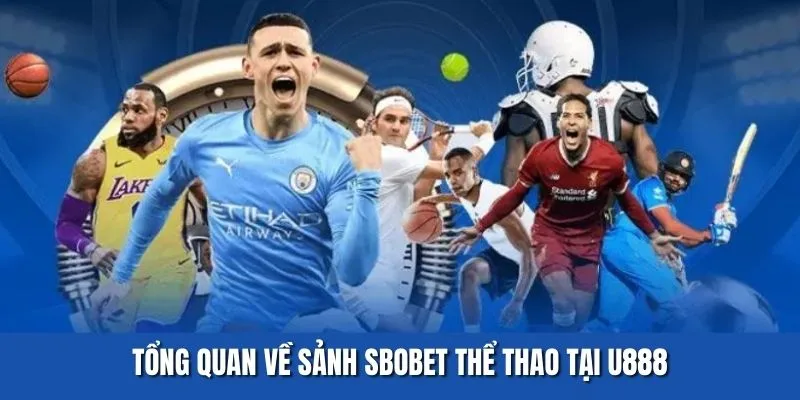 Tổng quan về sảnh SBOBET thể thao tại U888
