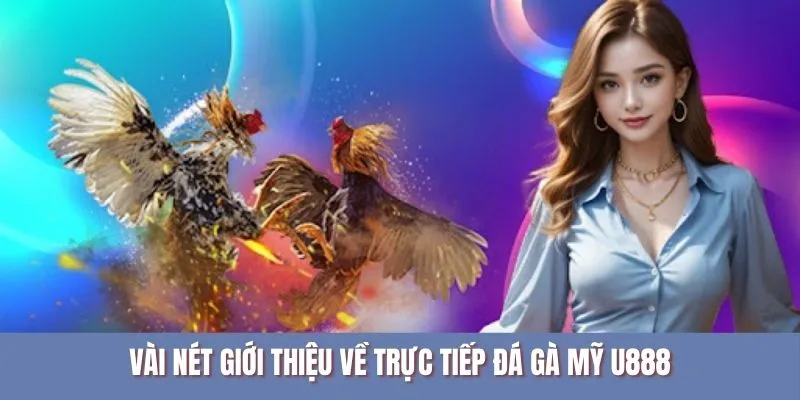 Vài nét giới thiệu về loại hình trực tiếp đá gà Mỹ U888