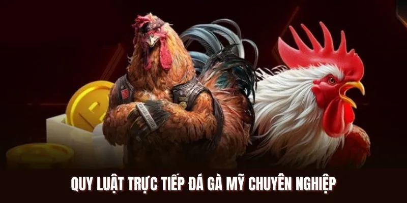 Quy luật trực tiếp đá gà Mỹ chuyên nghiệp tại U888